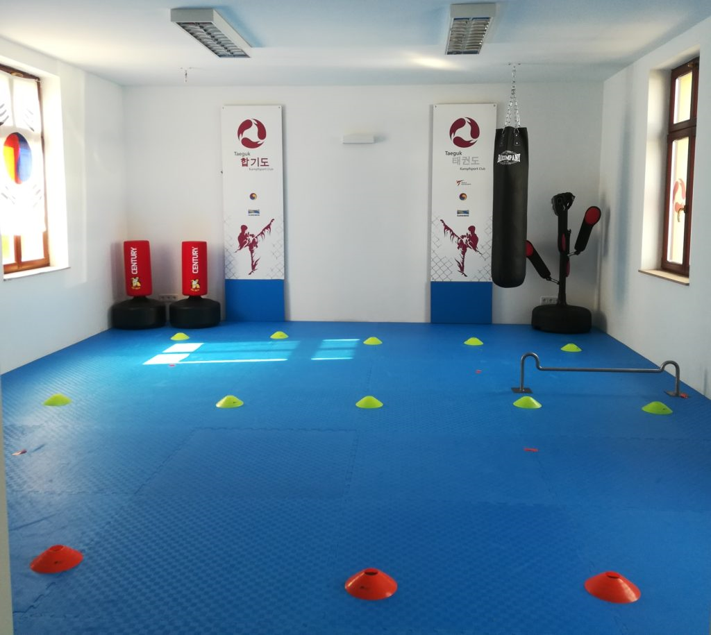 Taekwondo Dojang - Habkido